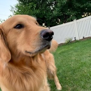 Meet your Posher, Leila